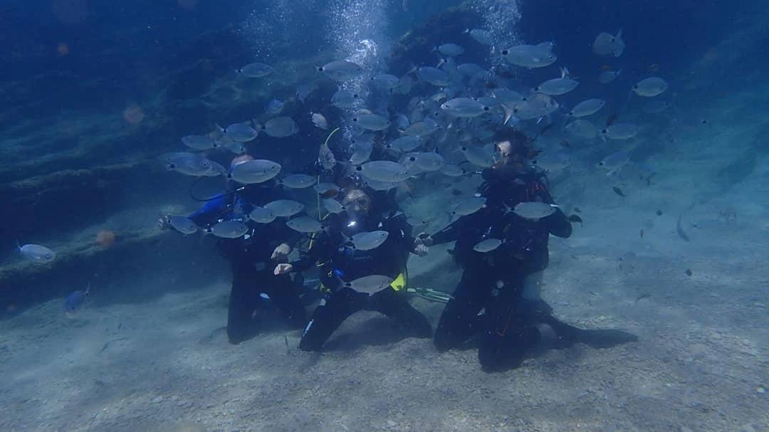 Scuba Diving - 6